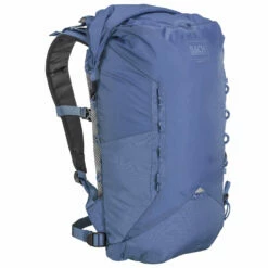 Bach Higgs 15 - Walking Backpack