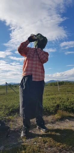 Basic Nature Moskitohutnetz No-See-Um - Mosquito Net 7 Basic Nature Moskitohutnetz No-See-Um - Mosquito Net -camping sale basic nature moskitohutnetz no see um myggnaet f6e017ea79eaa1e1c57a74b81b1d15a9 1