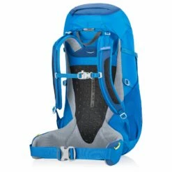 Gregory Kid's Icarus 30 - Walking Backpack -camping sale gregory kids icarus 30 walking backpack detail 2