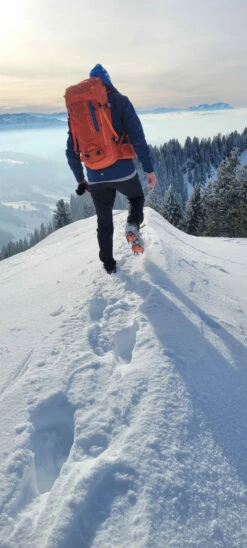 Ortovox Peak 35 - Mountaineering Backpack 9 Ortovox Peak 35 - Mountaineering Backpack -camping sale ortovox peak 35 tourenrucksack 479eeaaef0ad34f8d4b20e458b7c94a1 1