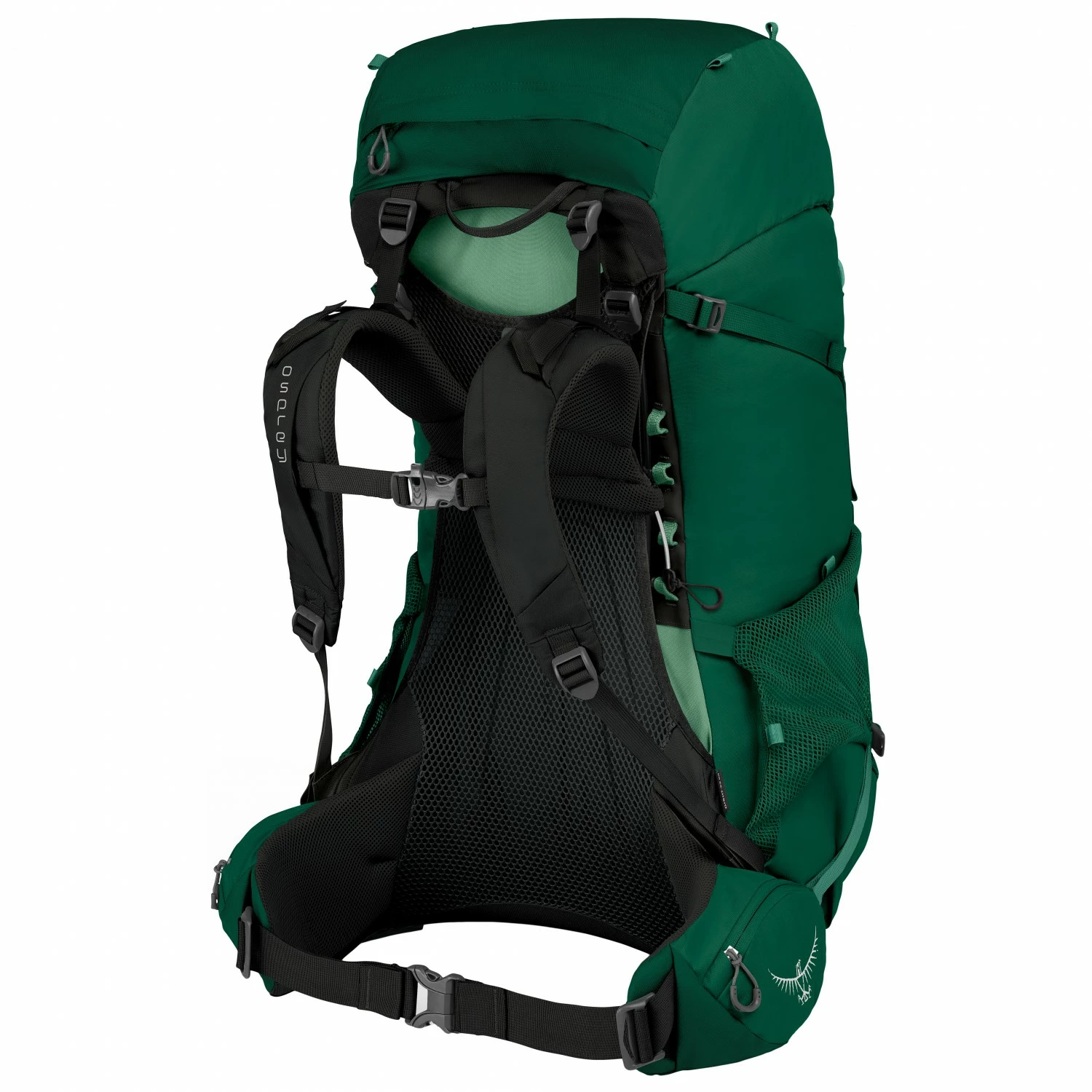 Osprey Rook 65 - Walking Backpack 5 Osprey Rook 65 - Walking Backpack - Image 3