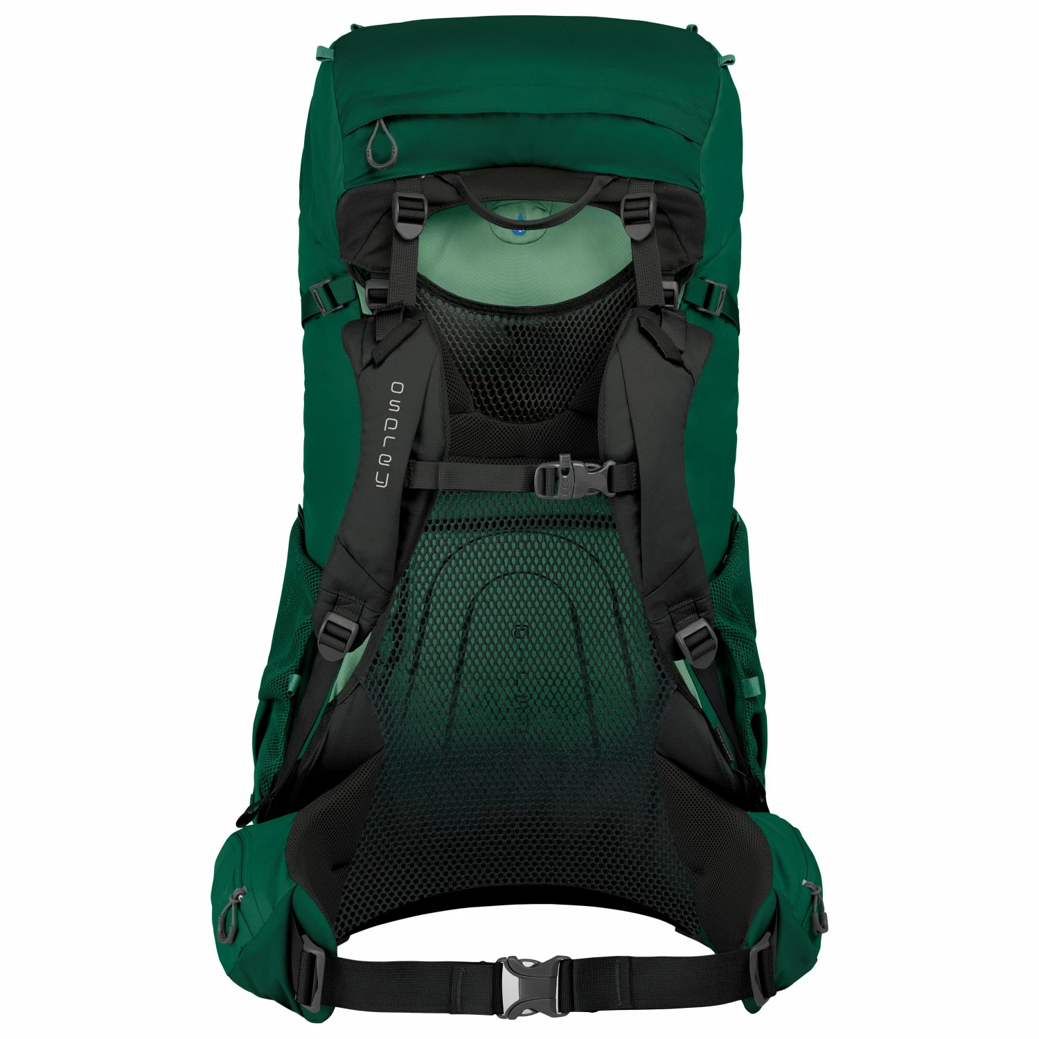 Osprey Rook 65 - Walking Backpack 6 Osprey Rook 65 - Walking Backpack - Image 4