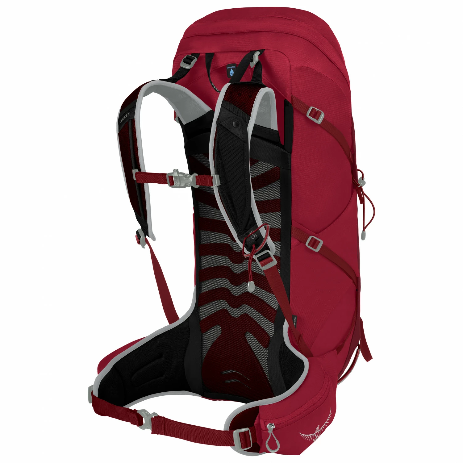 Osprey Talon 36 - Walking Backpack 4 Osprey Talon 36 - Walking Backpack - Image 2