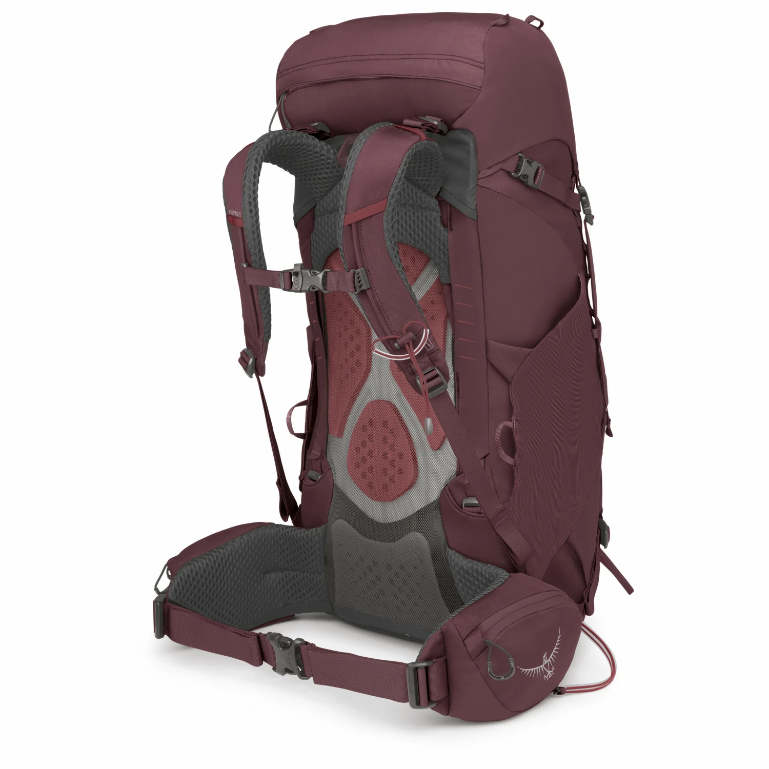 Osprey Women's Kyte 38 - Walking Backpack 5 Osprey Women's Kyte 38 - Walking Backpack - Image 3