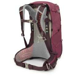 Osprey Women's Sirrus 24 - Walking Backpack -camping sale osprey womens sirrus 24 walking backpack detail 2
