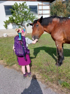 Osprey Women's Tempest 20 - Walking Backpack 5 Osprey Women's Tempest 20 - Walking Backpack -camping sale osprey womens tempest 20 wanderrucksack fc2161d869c74e726859230eb987d054 1