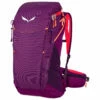 SALEWA Women's Alp Trainer 20 - Walking Backpack 2 SALEWA Women's Alp Trainer 20 - Walking Backpack -camping sale salewa womens alp trainer 20 walking backpack