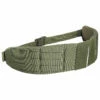Tasmanian Tiger TT Molle Hip Belt - Hip Bag 2 Tasmanian Tiger TT Molle Hip Belt - Hip Bag -camping sale tasmanian tiger tt molle hip belt hip bag